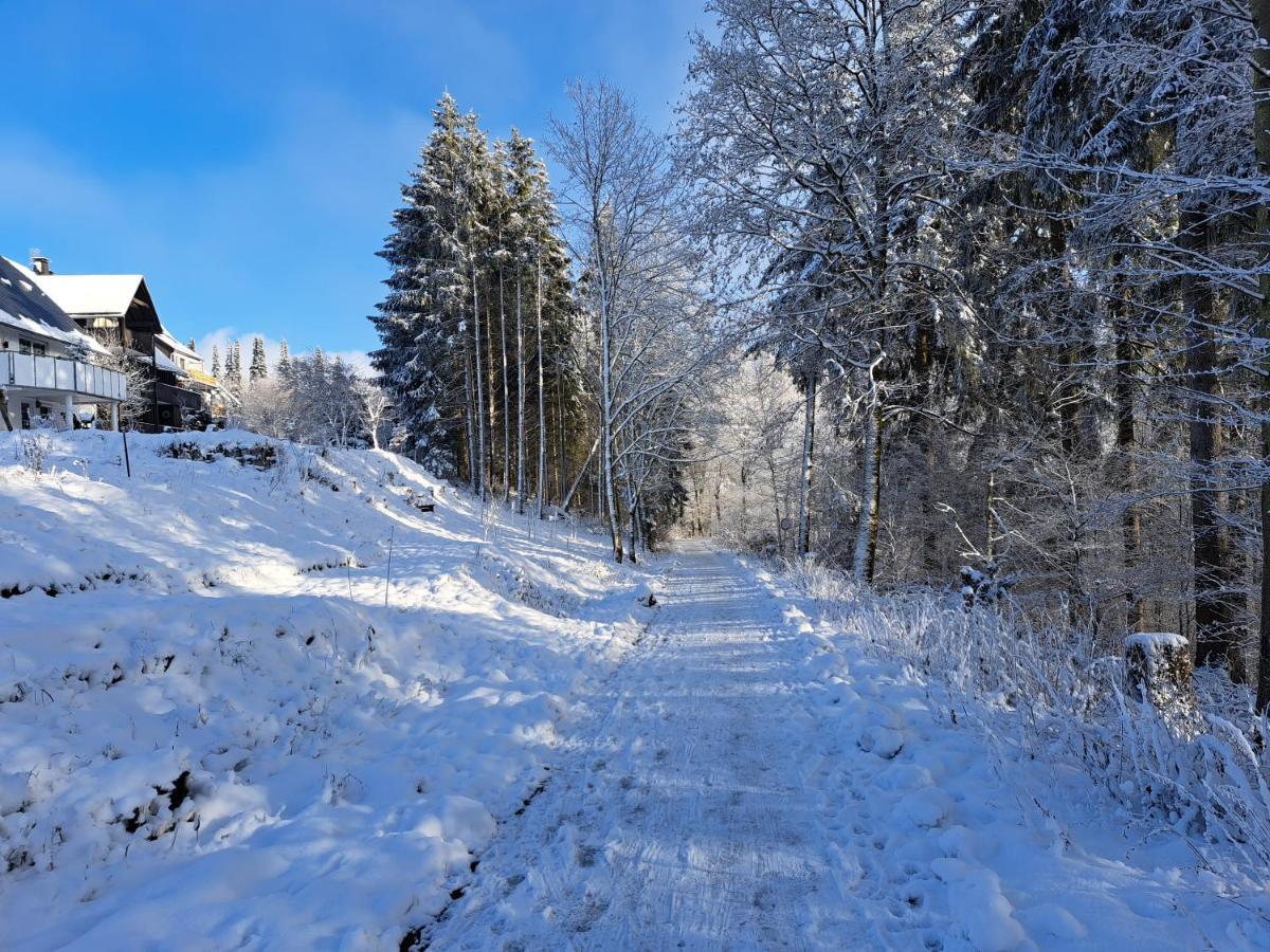 Great Apartment Winterberg Woods Medebach Exterior photo